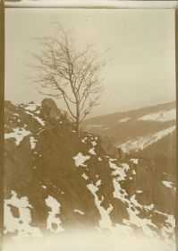 00000000 - 9798 - Ort unbekannt - Baum auf Felsen.jpg