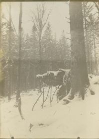 00000000 - 9740 - Ort unbekannt - Wald, Schnee.jpg