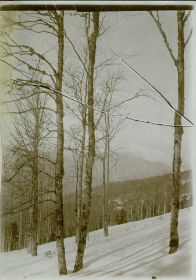 00000000 - 9741 - Ort unbekannt - Berghang im Schnee.jpg