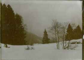 00000000 - 9745 - Ort unbekannt - Wald, Schnee.jpg